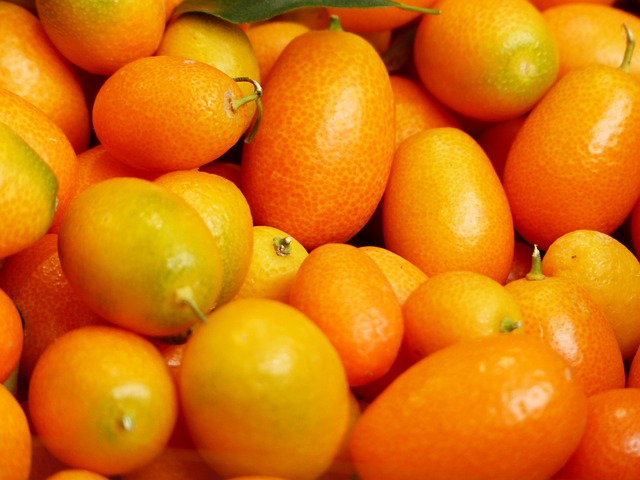 kumquats-357882_640