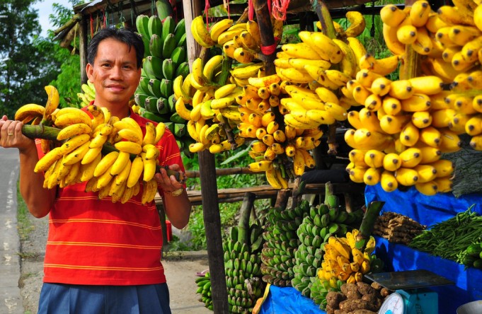 Jedite 3 banane dnevno. Zašto? Zbog ovih 10 nevjerojatnih prednosti!