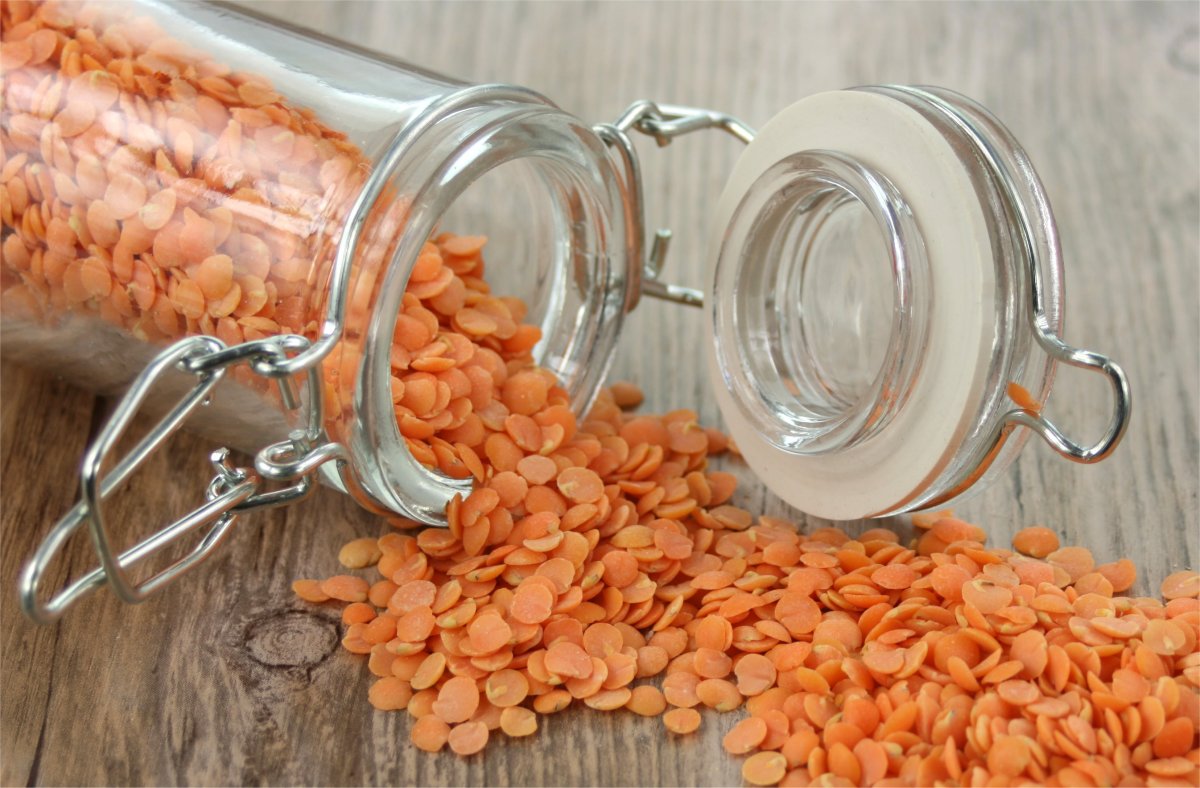 lentils03-lg